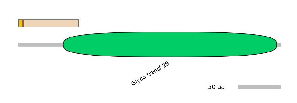 HsaINT0159863-EXC