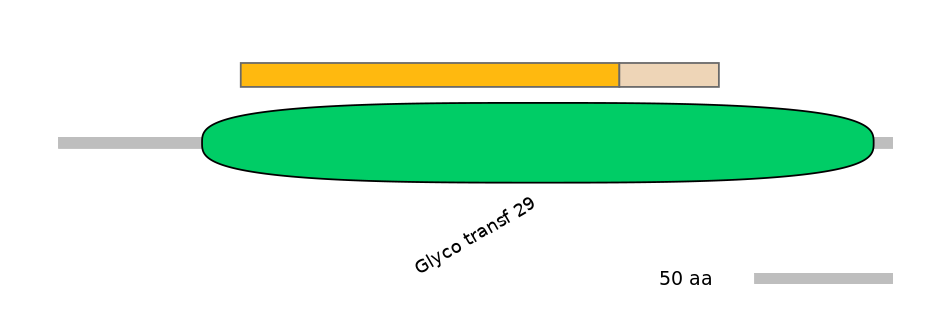 HsaINT0159871-EXC