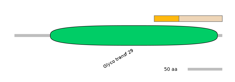 HsaINT0159872-EXC
