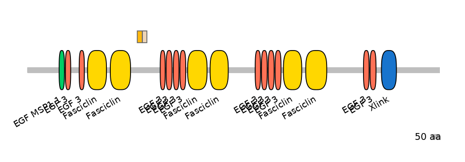 HsaINT0159967-EXC