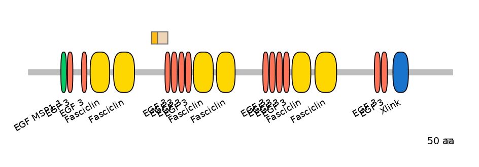 HsaINT0159969-EXC