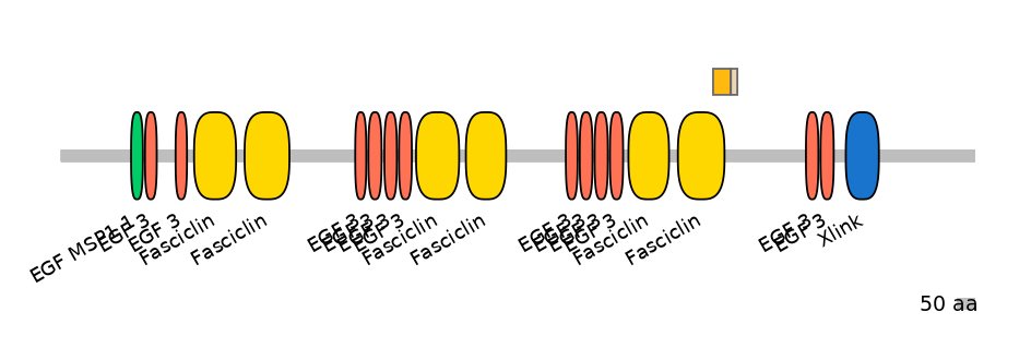 HsaINT0160003-EXC