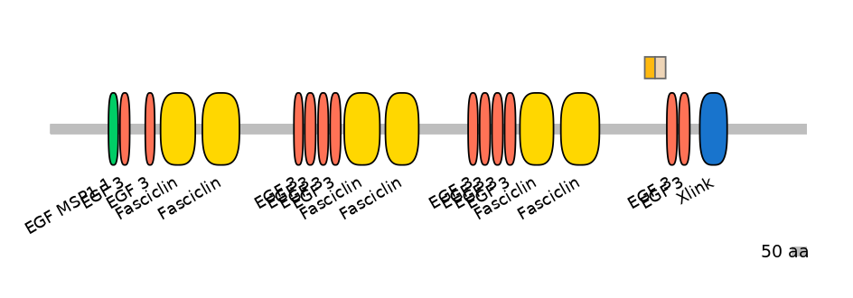 HsaINT0160007-EXC