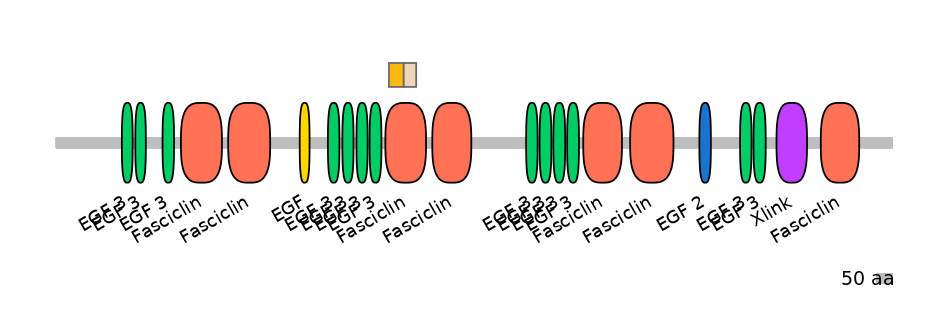 HsaINT0160044-EXC