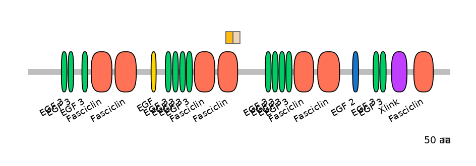 HsaINT0160050-EXC