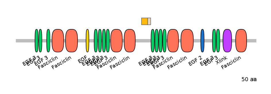 HsaINT0160054-EXC