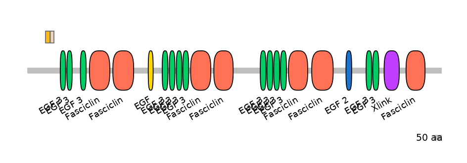 HsaINT0160056-EXC