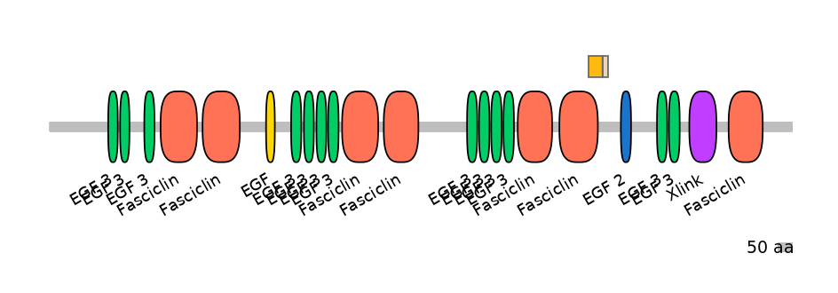 HsaINT0160071-EXC