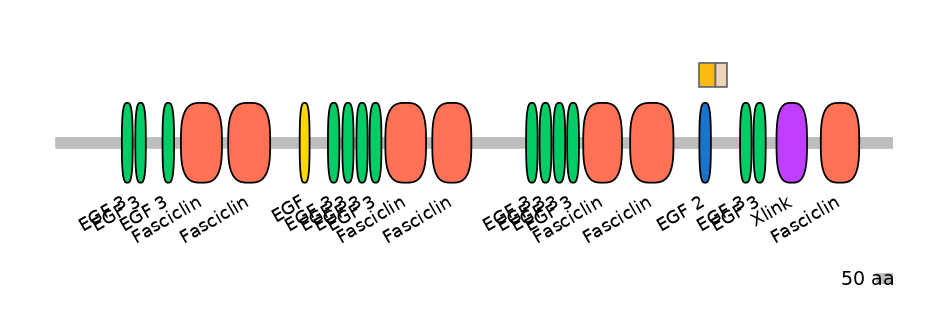 HsaINT0160074-EXC