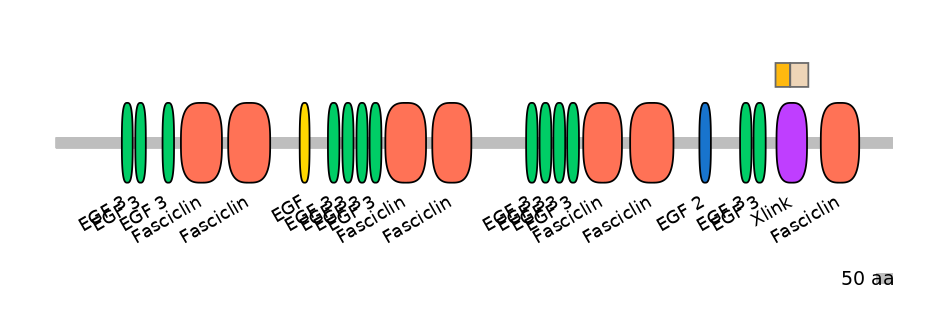 HsaINT0160080-EXC