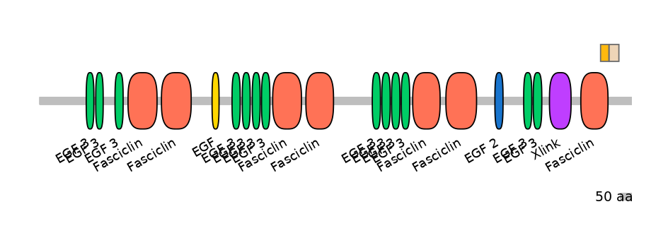 HsaINT0160085-EXC