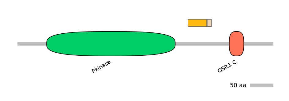 HsaINT0160933-EXC