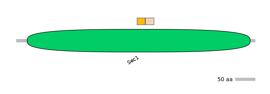 HsaINT0161385-EXC