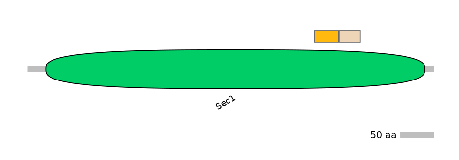 HsaINT0161408-EXC