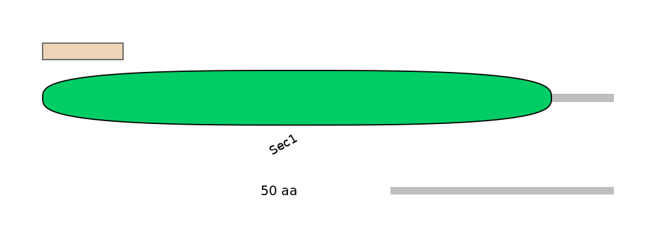HsaINT0161408-INC