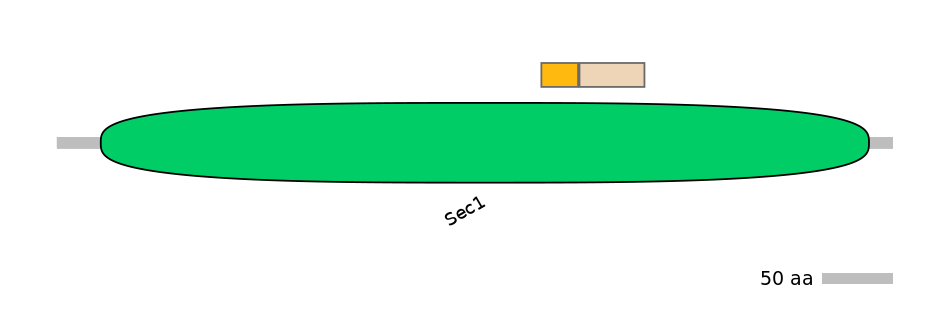 HsaINT0161424-EXC