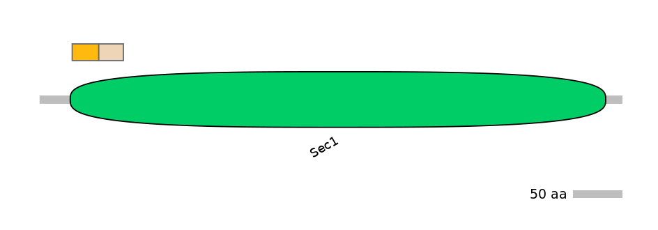 HsaINT0161431-EXC