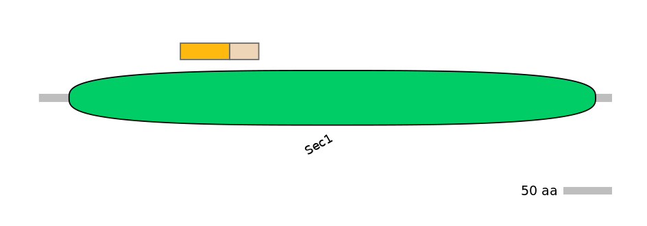 HsaINT0161435-EXC