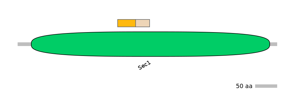 HsaINT0161437-EXC