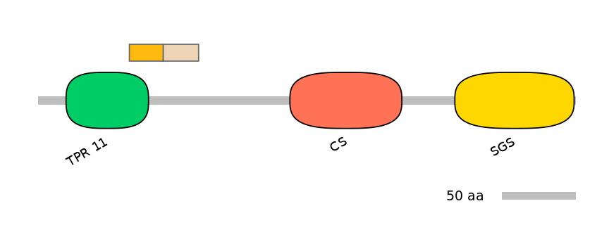 HsaINT0161633-EXC