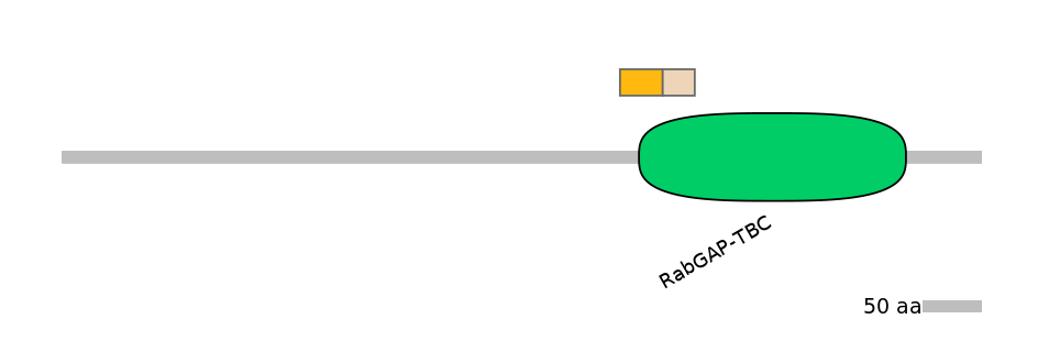 HsaINT0163982-EXC