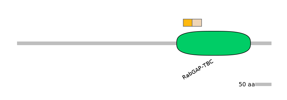 HsaINT0163983-EXC