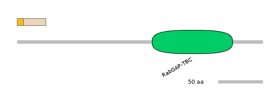 HsaINT0163986-EXC
