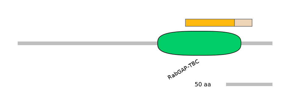HsaINT0163987-EXC