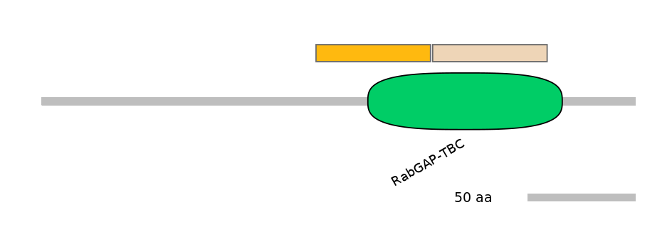 HsaINT0163994-EXC