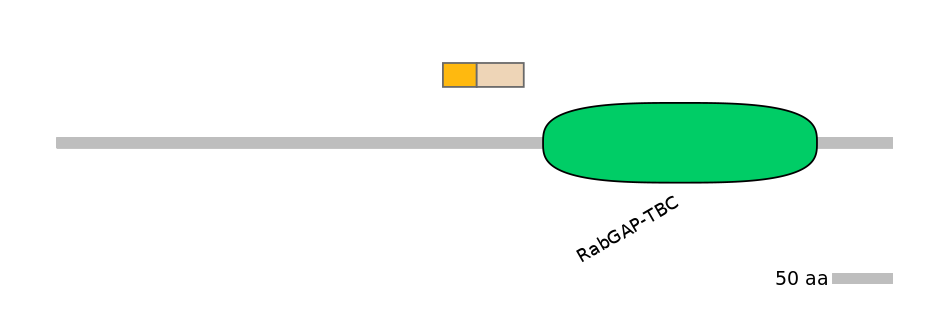 HsaINT0164007-EXC