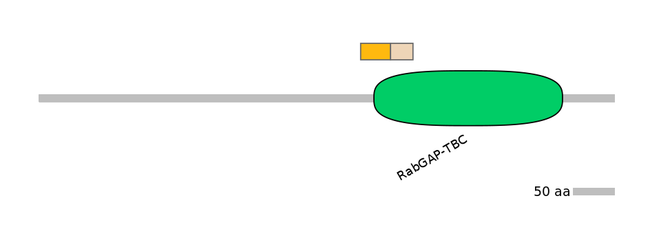 HsaINT0164009-EXC
