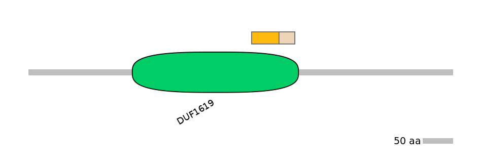 HsaINT0165218-EXC