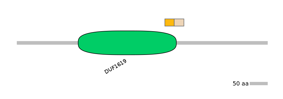 HsaINT0165219-EXC
