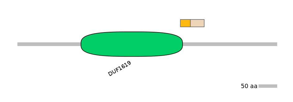 HsaINT0165220-EXC