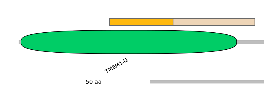 HsaINT0168489-EXC
