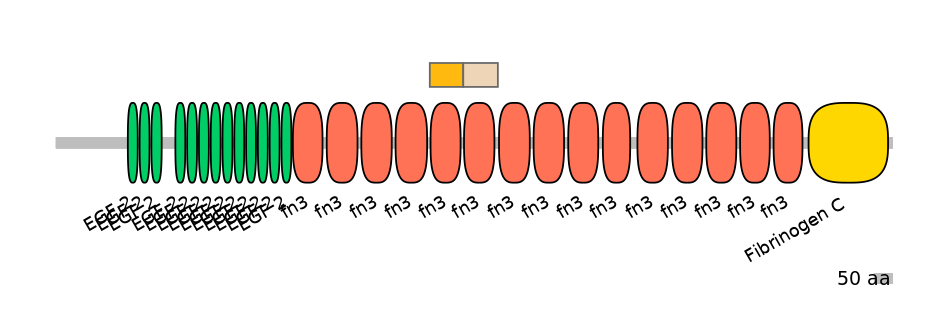 HsaINT0169908-EXC