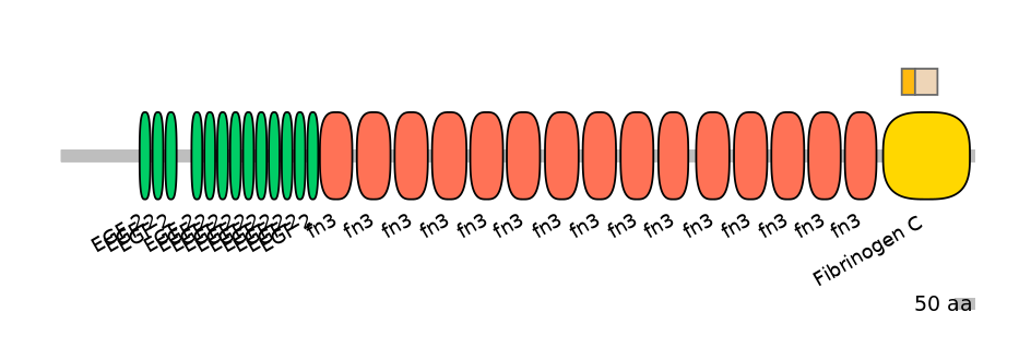 HsaINT0169924-EXC