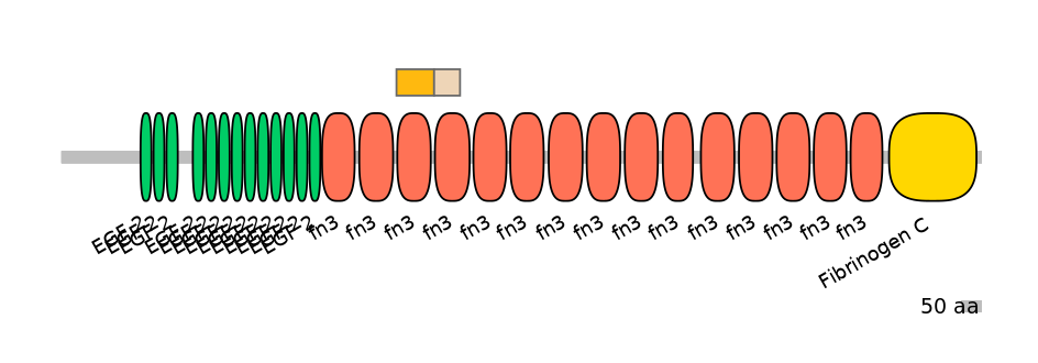 HsaINT0169931-EXC