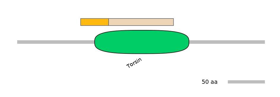 HsaINT0171033-EXC