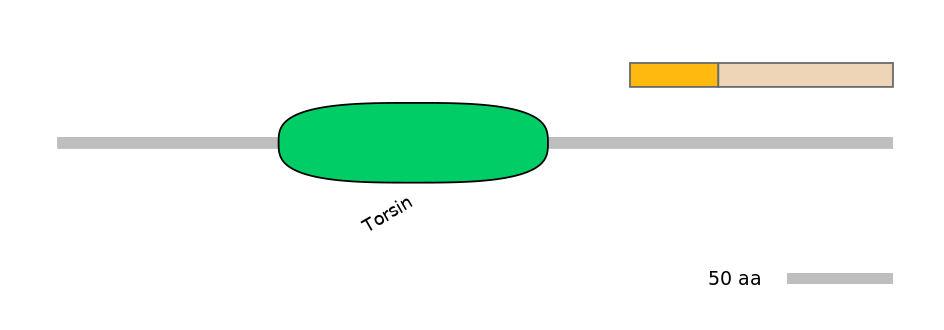 HsaINT0171036-EXC