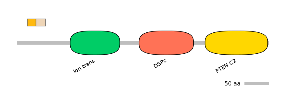 HsaINT0171595-EXC