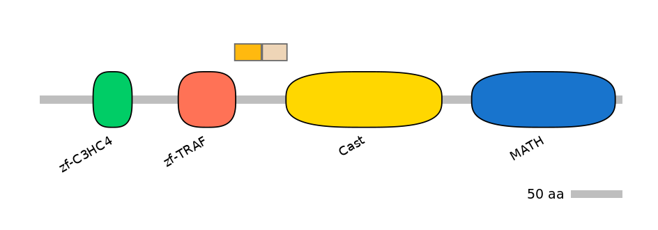 HsaINT0171696-EXC