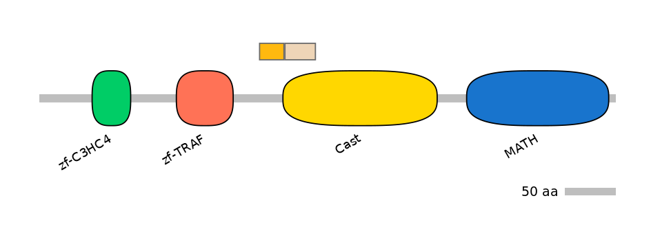 HsaINT0171697-EXC