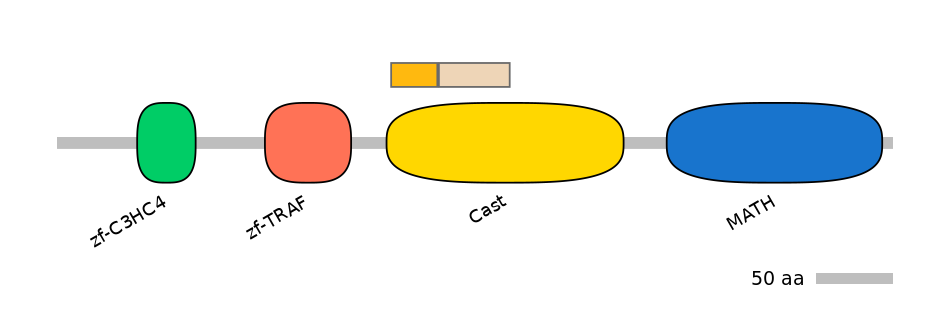 HsaINT0171698-EXC