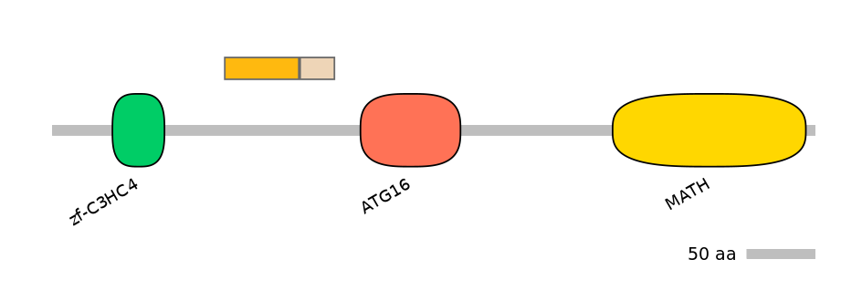 HsaINT0171754-EXC