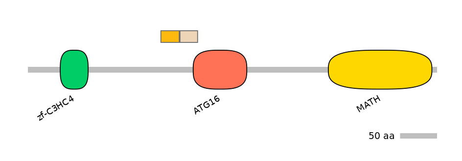 HsaINT0171755-EXC