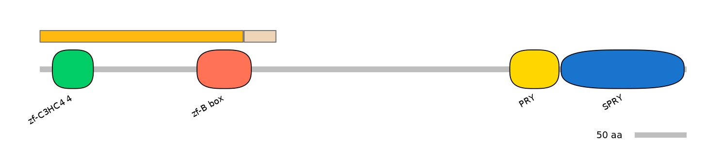 HsaINT0172231-EXC