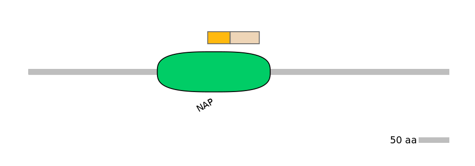 HsaINT0173916-EXC