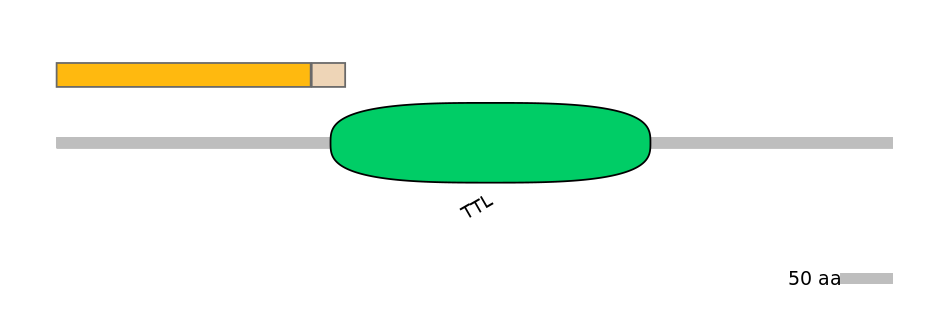 HsaINT0174683-EXC