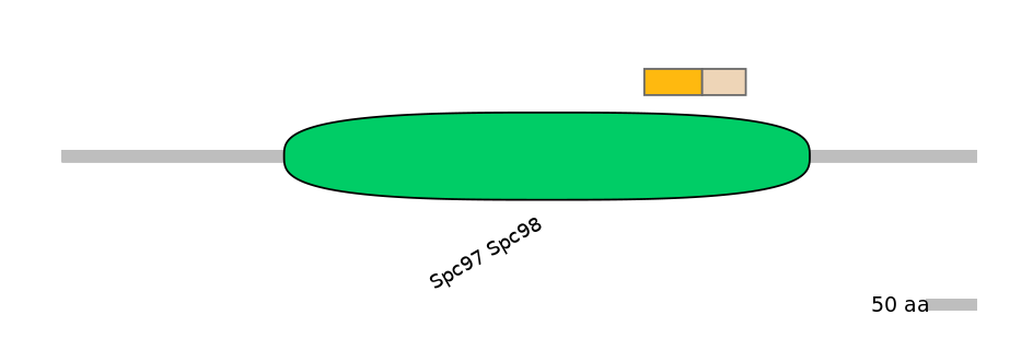 HsaINT0175388-EXC